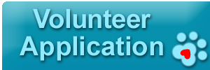 VolunteerApplicationButton