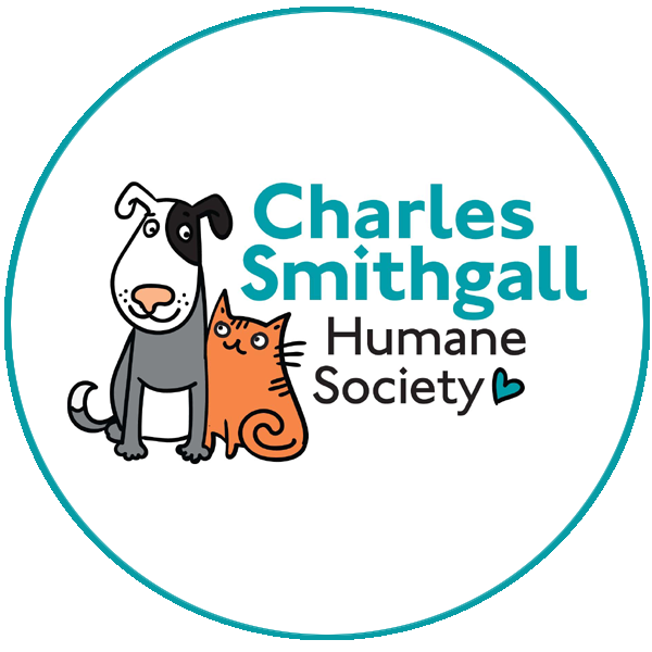 Available Cats : Adopt : Services : Humane Society of Charles