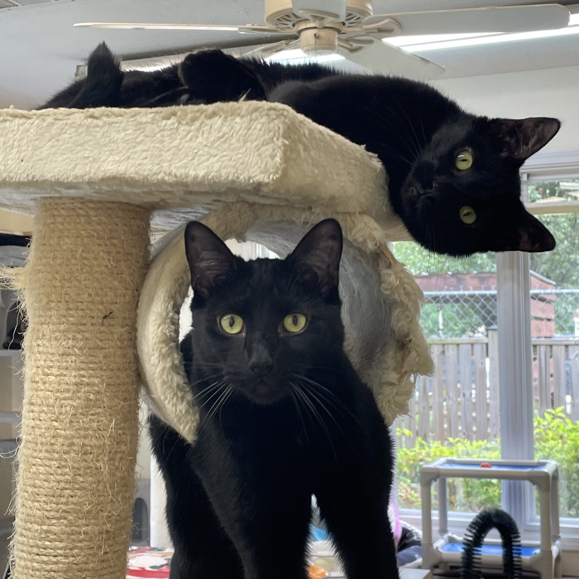 Finn and Oliver